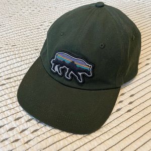 Patagonia Trad Cap
